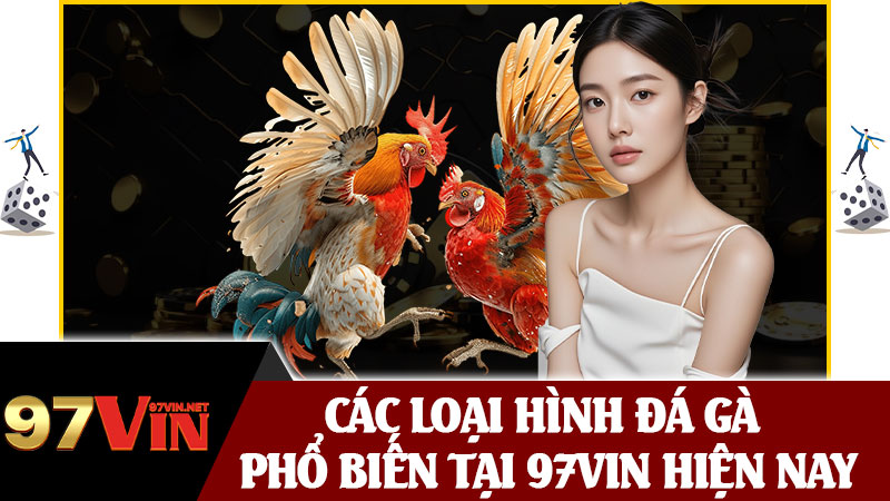 Các Loại Hình Đá Gà Phổ Biến Tại 97vin Hiện Nay