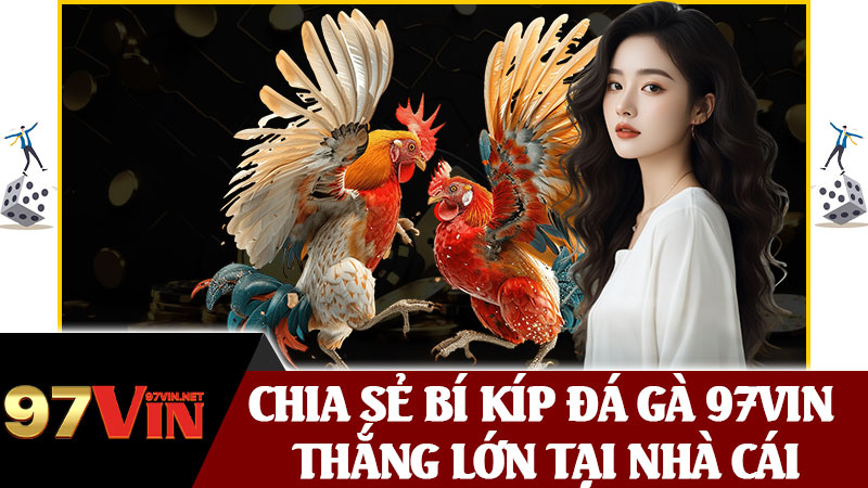 Chia Sẻ Bí Kíp Đá Gà 97vin Thắng Lớn Tại Nhà Cái