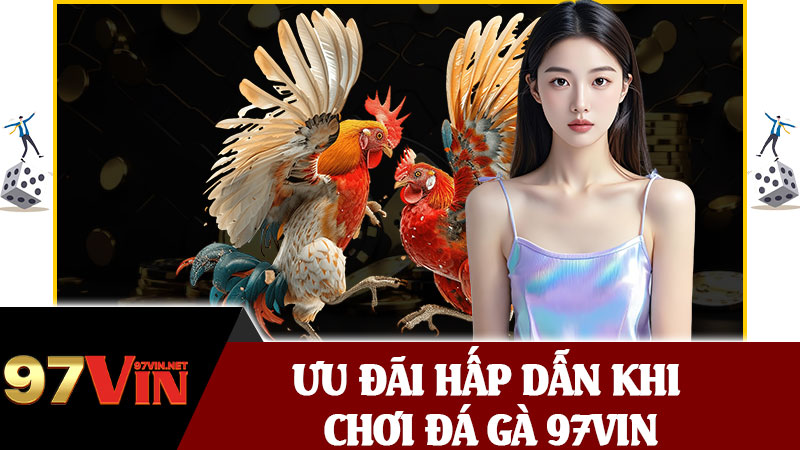 Ưu Đãi Hấp Dẫn Khi Chơi Đá Gà 97vin